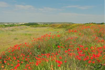 Прикрепленное изображение: 01.jpg